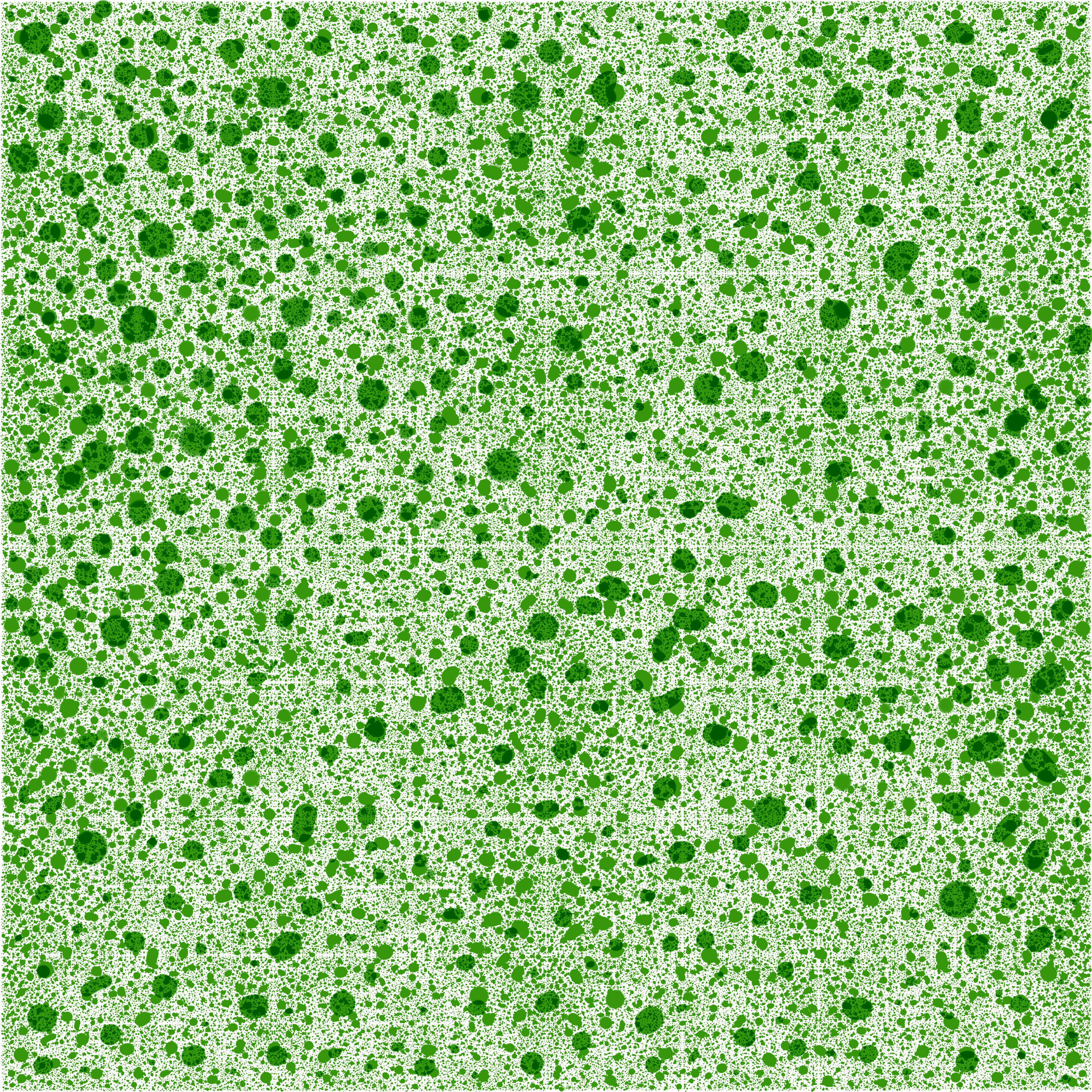 DOTTY